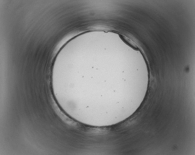 X0000116131195200912211709