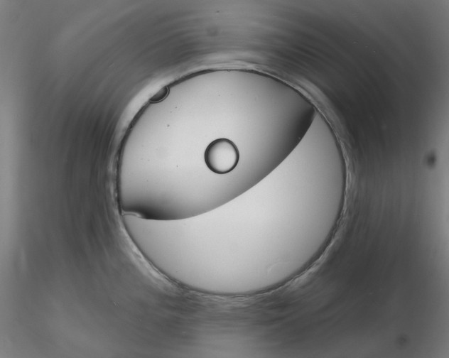 X0000116131196200912211708