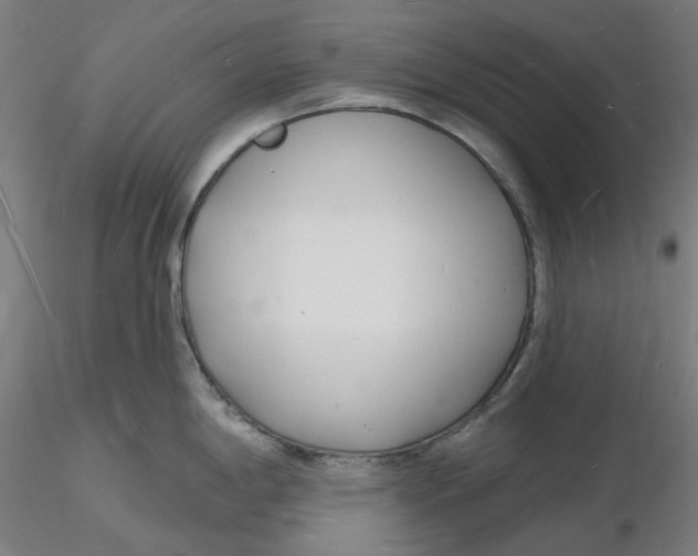 X0000116131198200912211708