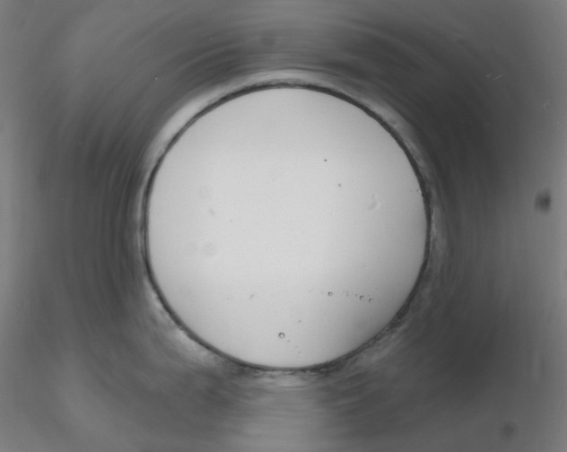 X0000116131199200912211708
