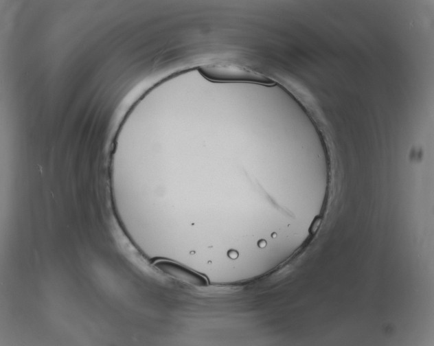 X0000116131200200912211708