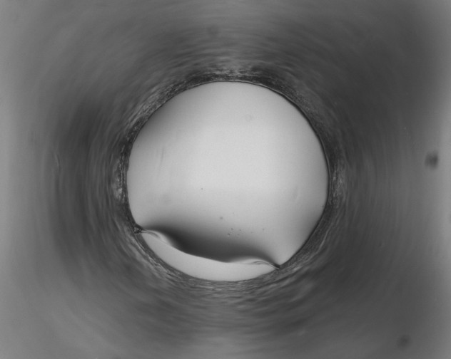 X0000116131202200912211708