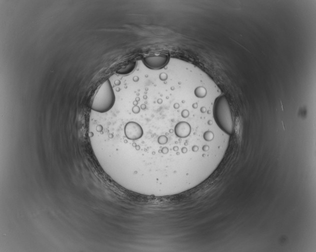 X0000116131203200912211708