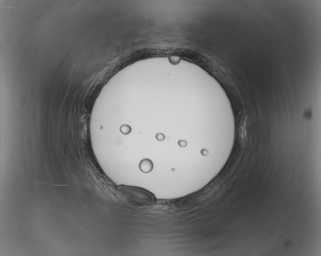 X0000116131204200912211708
