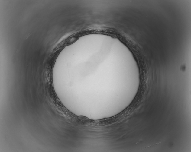 X0000116131206200912211708
