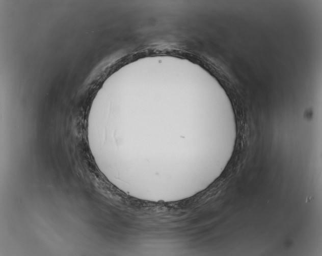 X0000116131207200912211708
