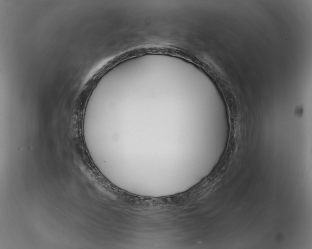 X0000116131208200912211708