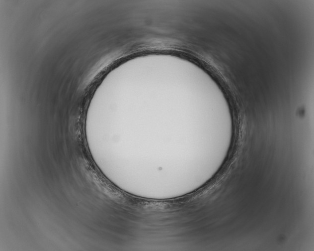 X0000116131211200912211708