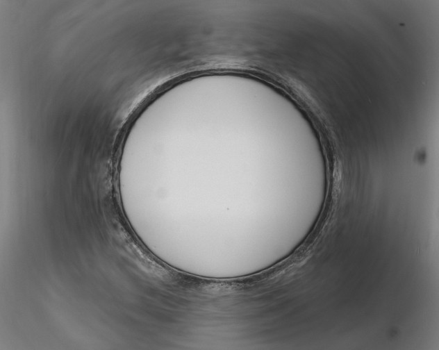 X0000116131212200912211708