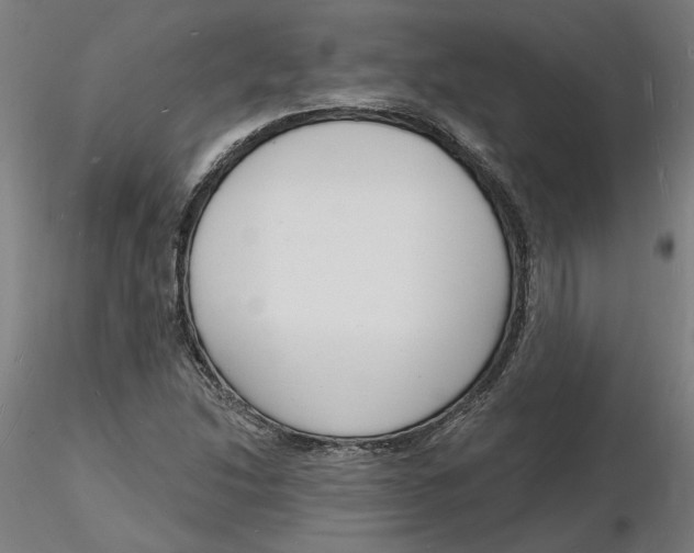 X0000116131214200912211708