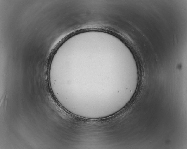 X0000116131216200912211708