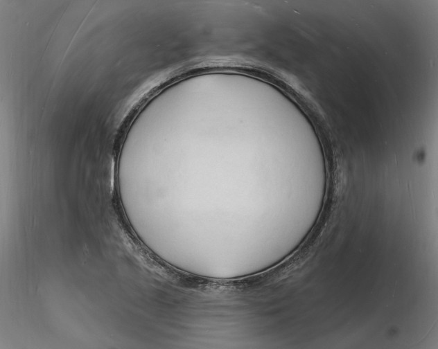 X0000116131221200912211708