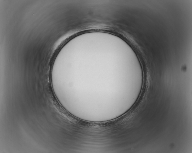 X0000116131222200912211708