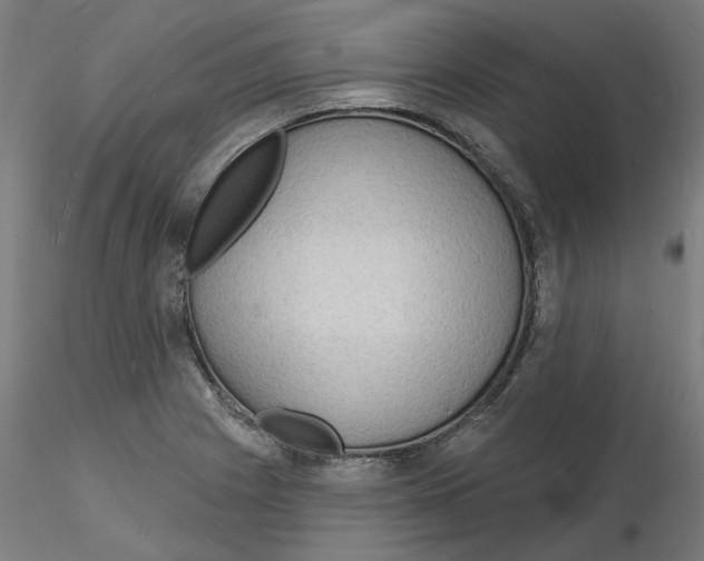 X0000116131225200912211708