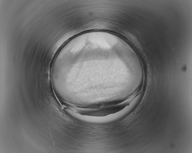 X0000116131226200912211708