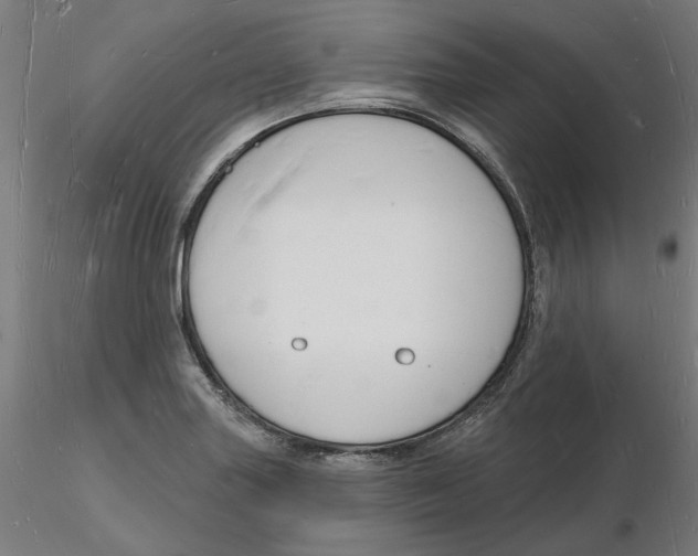 X0000116131227200912211708