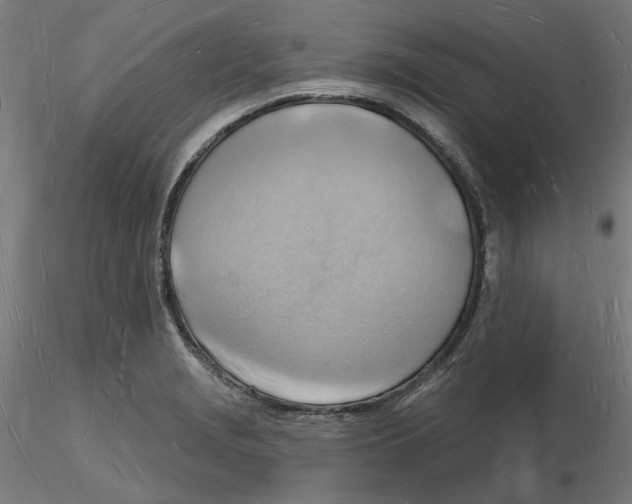 X0000116131229200912211708
