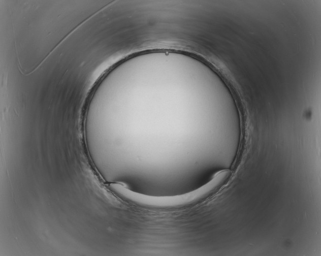 X0000116131230200912211708