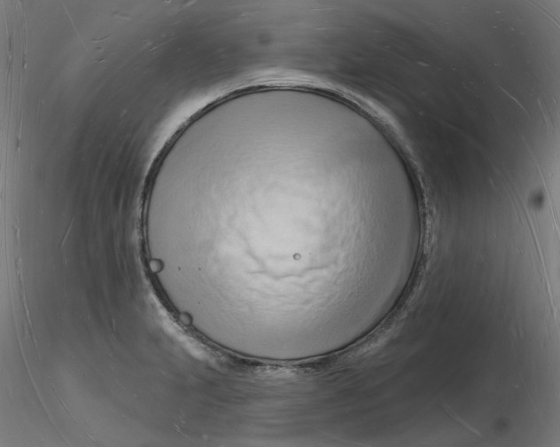 X0000116131231200912211708