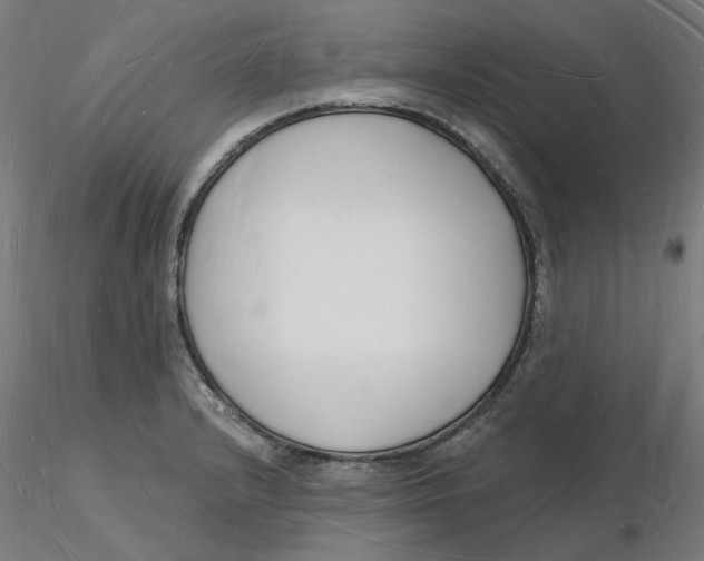 X0000116131232200912211708