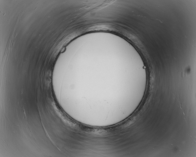 X0000116131233200912211708