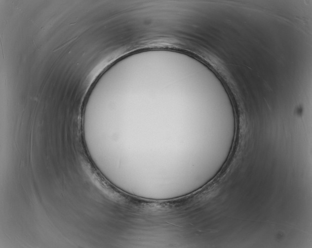 X0000116131234200912211708
