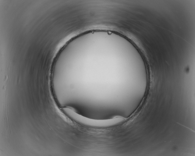 X0000116131237200912211708