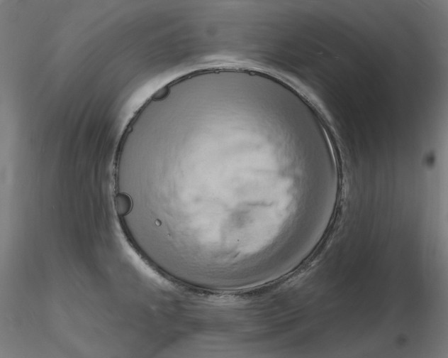 X0000116131239200912211708