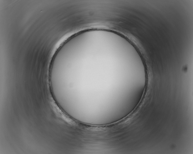 X0000116131240200912211708