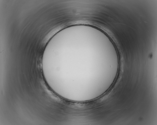 X0000116131241200912211708