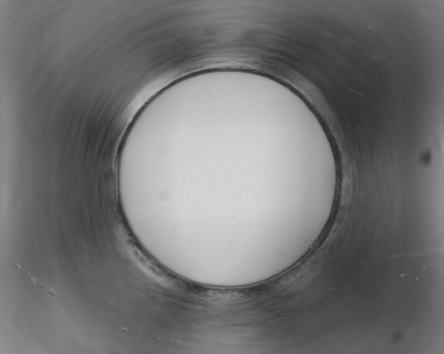 X0000116131242200912211708