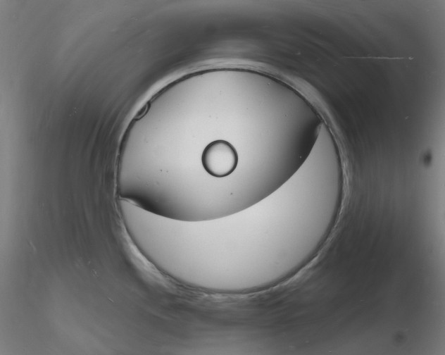 X0000116131244200912211708