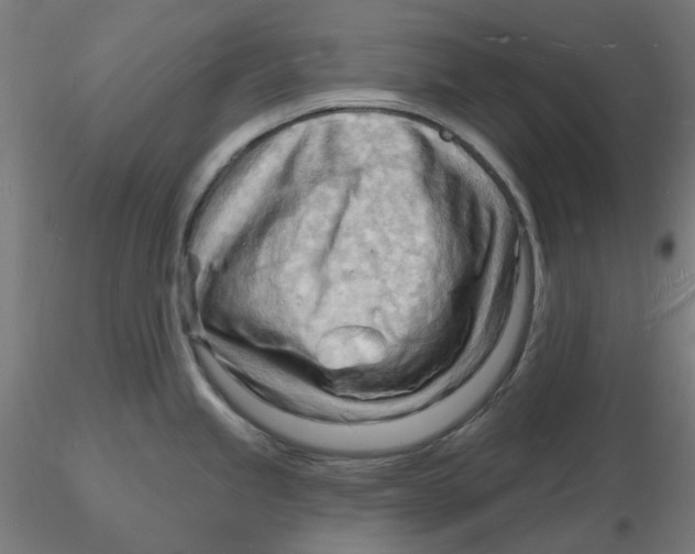 X0000116131245200912211708