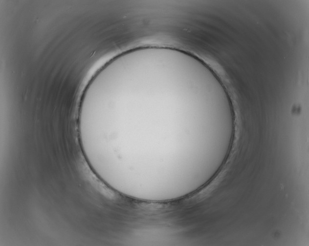 X0000116131248200912211708