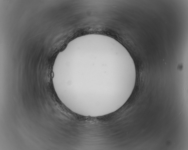 X0000116131250200912211708