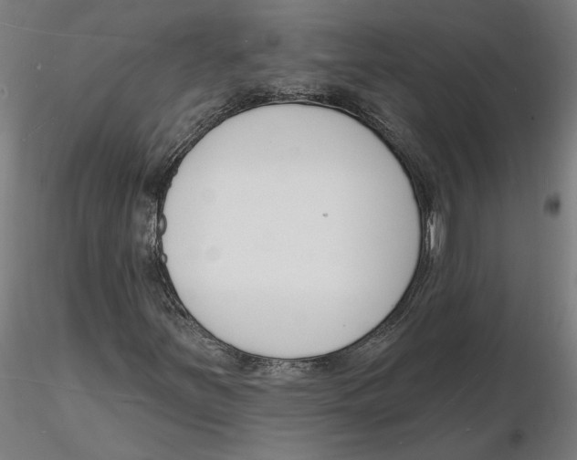 X0000116131251200912211708