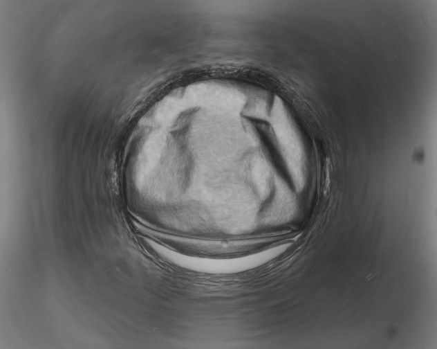X0000116131252200912211708