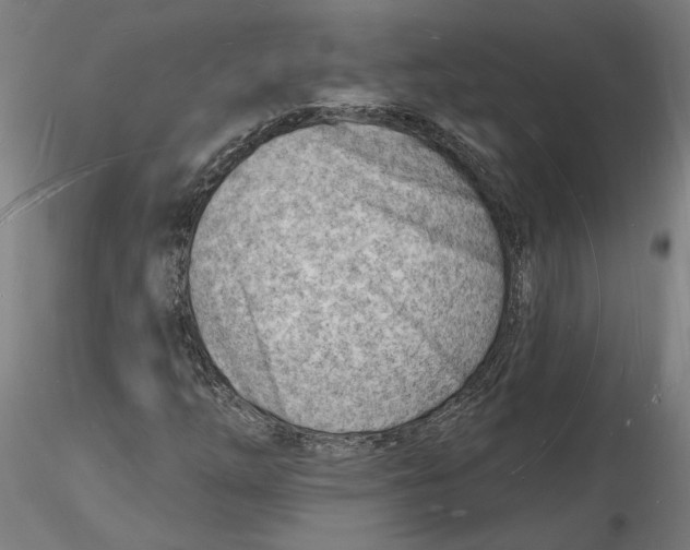 X0000116131254200912211708