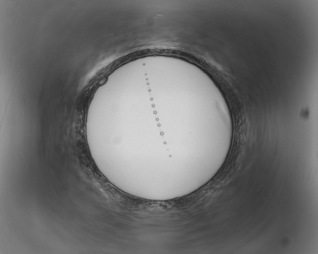 X0000116131255200912211708