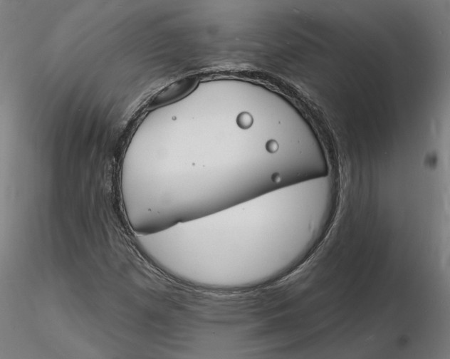 X0000116131257200912211708