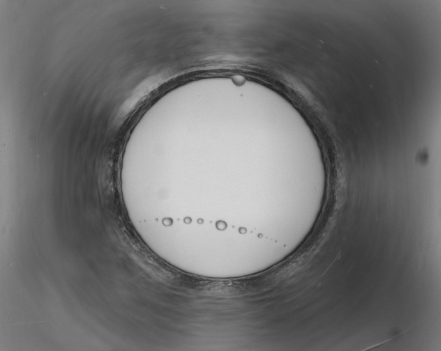 X0000116131259200912211708