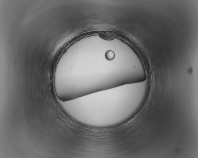 X0000116131261200912211708