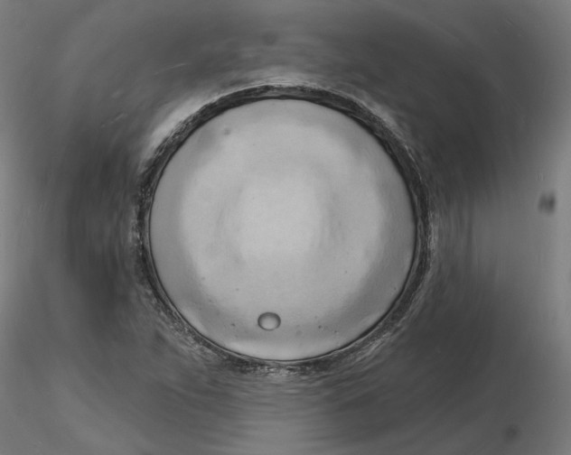 X0000116131263200912211708
