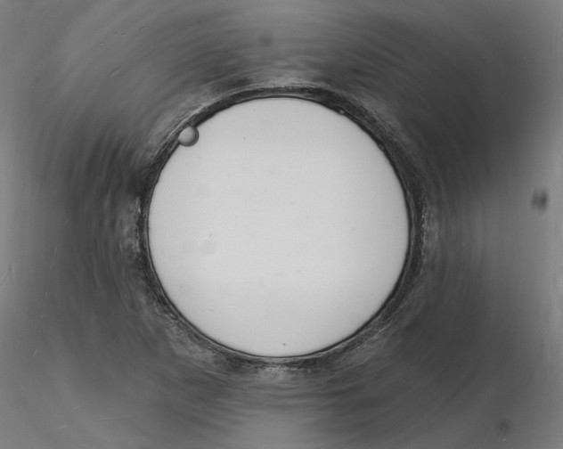 X0000116131265200912211708
