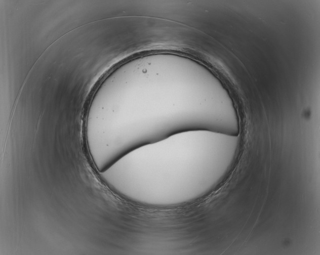 X0000116131268200912211708
