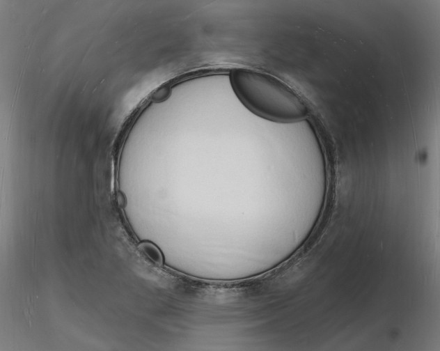 X0000116131269200912211708