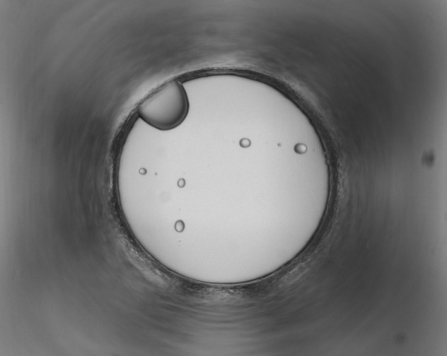 X0000116131270200912211707
