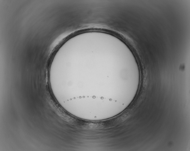 X0000116131271200912211707