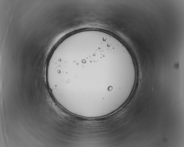 X0000116131272200912211707