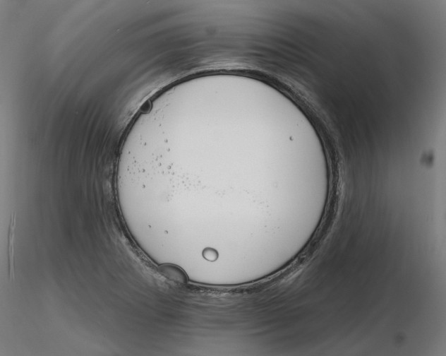 X0000116131273200912211707